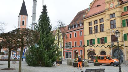 Archivbild: dob
Der Vohenstraußer Christbaum von 2020. Auch heuer steht vor dem Rathaus wieder ein prächtiges Exemplar, nur nicht das, was ursprünglich dafür gedacht war.