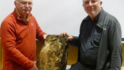 Bild: uz
Der stolze Finder, Adi Küblböck (links) und der Weidener Bezirksvorsitzende des Vereins Freunde der Mineralogie und Geologie, Martin Füßl, mit dem versteinerten Baum.