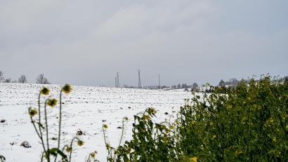 Bild: lum
Auf der landwirtschaftlichen Fläche im Vordergrund soll der Solarpark bei Frodersreuth entstehen; im Hintergrund sind die Windkraftanlagen bei Wildenreuth/Neuenreuth zu sehen.