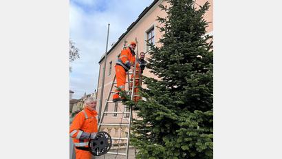 Bild: Christine Hollederer/exb
Mitarbeiter des Bauhofs stellen den sechs Meter hohen Baum auf dem Balkon des Landratsamtes auf und behängen ihn mit einer Lichterkette. V.li.: Markus Schwab, Thomas Scharl und Andreas Hirsch