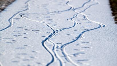 Symbolbild: Jens Büttner/dpa
Die Spuren im Schnee waren verräterisch.