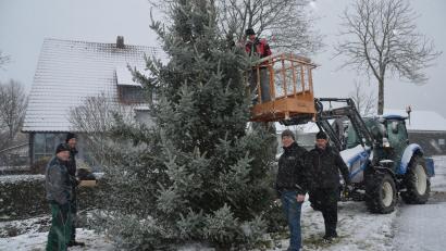 Bild: dob
Eine rund sechs Meter hohe Blautanne verzaubert heuer wieder vor der Marienkapelle "Mariä Geburt" als Weihnachtsbaum. Die Helfer waren diesmal bei Schneegestöber im Einsatz.
