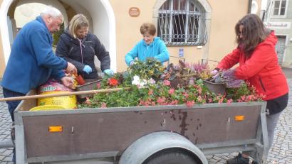 Bild: mad
Der Gartenbau- und Ortsverschönerungsverein ist immer zur Stelle, wenn es um Pflanzaktionen geht.