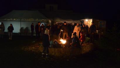 Bild: Ilona Maiwald/exb
Gut besucht ist die Weihnachtsausstellung im Pfarrgarten in Etsdorf.