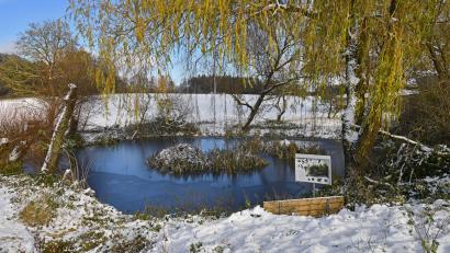 Bild: Günter Moser
Diese herrliche Ansicht hat Günter Moser fotografiert.