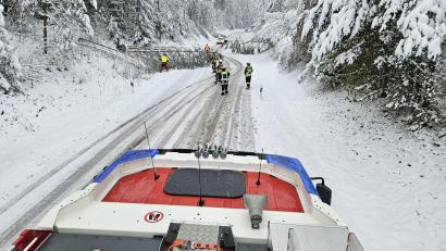 Bild: Kreisbrandinspektion
Die Schneefälle der vergangenen Tage führten im Landkreis Amberg-Sulzbach - im Bild ein Straßenabschnitt zwischen Freudenberg und Hainstetten - zu vielen umgestürzten Bäumen , die von den Feuerwehren beseitigt werden mussten.