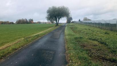 Archivbild: wro
Westlich der Straße, die Fuchsmühl mit dem Waldbadeweihergelände verbindet, soll eine weitere Freiflächen-Photovoltaikanlage entstehen: "Sonnenenergie Fuchsmühl 3“ (im Bild links).
