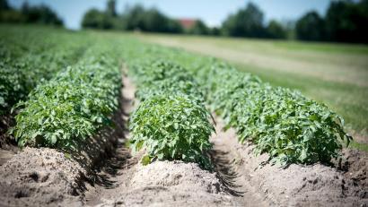 Bild: Wolfgang Ehrecke/exb
Bei der Tagung in Neunburg dreht sich alles um gesunden Boden.