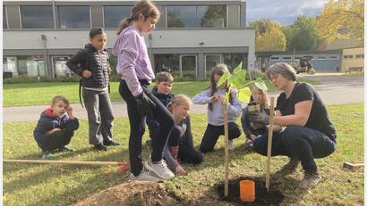 Bild: Marion Weigl/exb
Im Pausenhof der Albert-Schweitzer-Schule pflanzten die Kinder Kiribäume, die bis zu zehn Meter hoch werden.