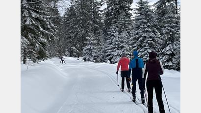 Symbolbild: gis
Viele Theisseiler und Letzauer fürchten, dass Langlauf in ihrer Umgebung nicht mehr gefahrlos möglich ist, wenn Windräder zu nahe an die Loipe heranrücken sollten.