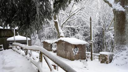 Bild: mmj
Wegen des vielen Schnees bleiben die Buden am Eulenberg geschlossen. Stattdessen gibt es einen Adventsmarkt beim CeBB.