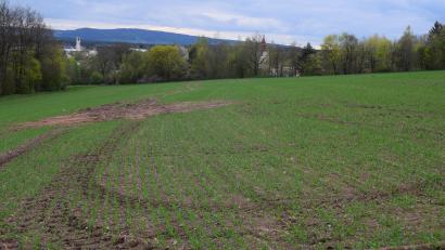 Bild: bnr
Die Ableitung von Niederschlagswasser in Baugebieten, wie hier "Am Köblitzbach", muss wasserrechtlich genehmigt werden.