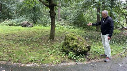 Archivbild: kmo
Hier, im Waldfriedhof, möchte CSU-Stadtrat Hans-Jürgen Gmeiner das Eichengrabfeld verwirklichen. Es dürfte nun etwas dauern bis zur Umsetzung.