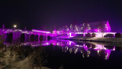 Bild: Benkhardt
So leuchtet in diesem Jahr der Fischhofpark beim Kunsthandwerklichen Weihnachtsmarkt der Lions.