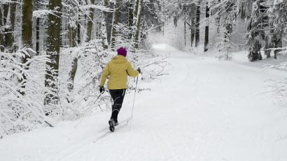 Symbolbild: Daniel Vogl/dpa
Eine Skilangläuferin ist im winterlich verschneiten Wald unterwegs. Der Heimatverein Mähring teilt mit, dass die drei Loipen rund um die Marktgemeinde gespurt und bereit für Wintersportler sind.