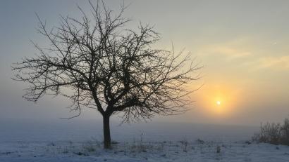 Bild: Heike Unger
Wintermorgen: Eine Momentaufnahme am Donnerstagmorgen bei Ebermannsdorf.