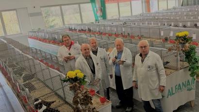 Bild: gz
Bereits im Vorfeld sehen sich die Preisrichter (v.l.) Harald Kull aus Neudrossenfeld, Georg Kellermann aus Altdorf, Otto Endler aus Fichtelberg, Willi Roauer aus Neumarkt und Josef Franz aus Kotzenbach die Tauben an.