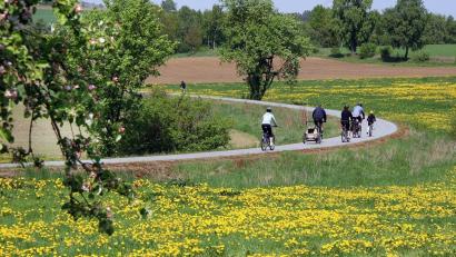 Archivbild: Ingrid Popp
Der Bocklradweg, hier bei Albersrieth, ist ein Paradebeispiel. Doch der Landkreis Neustadt/WN will in dieser Hinsicht keinen Stillstand, sondern möchte mehr für die Radfahrer tun – sowohl für Urlauber als auch Einheimische.