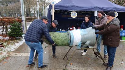 Bild: Kunz
Alle gemeinsam an einem Stamm: Fleißige Hände helfen beim Christbaumverkauf des Lions-Club Goldene Straße.