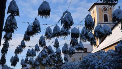Bild: bö
Im Ortskern von Schmidmühlen wurden als weihnachtliche Deko Fichtenbäumchen aufgehängt. Nicht jedem scheinen sie zu gefallen, es kursieren Gerüchte, die der Bürgermeister jetzt im Marktgemeinderat als falsch bezeichnete.