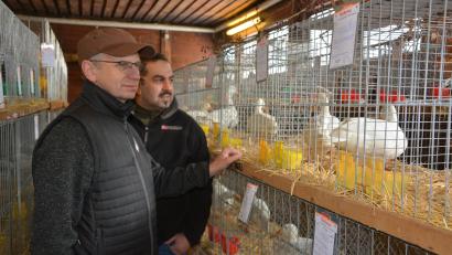Bild: jr
Gut besucht war am Wochenende die Geflügel-Kreisschau in Fockenfeld.