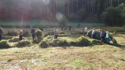 Bild: Thomas Obendorfer/exb
Feuchtwiesenbiotope zu pflegen ist fester Bestandteil der Ausbildung bei den angehenden Landwirten und Forstwirten der Berufsschule in Neunburg vorm Wald.