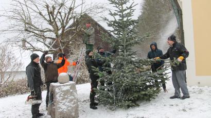 Bild: pi
Das Zuschneiden der Äste und Aufstellen des Weihnachtsbaums geht Hand in Hand.
