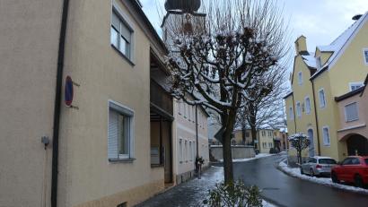 Bild: jr
Dieser Ahornbaum an der Hauptstraße in Konnersreuth ist Anwohnern ein Dorn im Auge. Er befinde sich zu nah an den Fenstern des dortigen Wohnhauses, heißt es. Die Marktgemeinde lehnt eine Entfernung aber ab.