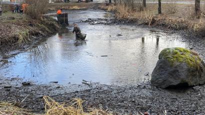 Bild: Josef Glas
Per Hand wird der Tierbestand schonend aus dem Brauweiher gefischt.