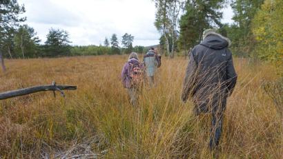 Archivbild: jeb
Im Herbst 2022 unternahmen die Naturfreunde Mitterteich mit dem Verein zum Schutz wertvoller Landschaftsbestandteile (VSL) eine Wanderung im Oberteicher Moor. Dabei kämpften sich die Teilnehmer durch hohe Gräser, die Moorhexen.