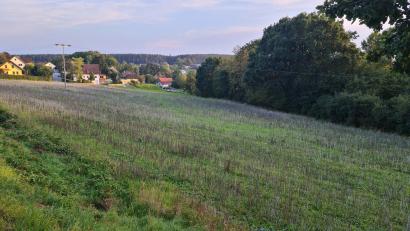 Bild: sne
In Hammerles ist eine größere Wohnsiedlung für Witron-Beschäftigte vorgesehen.