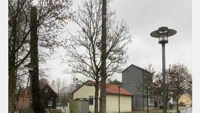 Bild: Andreas Hopfner/exb
Die Bäume im Stadtgebiet sind zum Teil ausgeschnitten oder "geköpft", wie hier bei der Umspannstation in der Nähe des Klöppeltrafos.