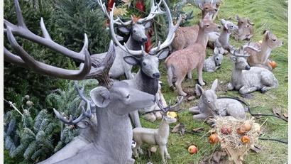 Bild: Christina Kreuzer/exb
Jede Menge Waldtiere im garten von Christina Kreuzer. Dort steht die Herde den ganzen Winter über.