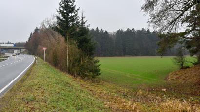 Bild: Petra Hartl
Vor gut 20 Jahren zerschlugen sich die Pläne des ADAC, im Birgland ein Fahrsicherheitszentrum zu errichten. Seitdem ist es still geworden um die als Sondergebiet ausgewiesene Fläche an der A6 und der Staatsstraße 2164.