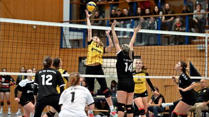 Bild: Hubert Ziegler
Lisa Großmann (Mitte) vom SV Hahnbach kann in dieser Szene den Ball gefühlvoll über das Netz in die gegnerische Hälfte befördern, beobachtet von Lisa Petermeier und Celine Schüll (von links) sowie Kapitänin Julia Polito (rechts). Der SV Hahnbach siegte mit 3.1.