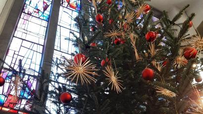 Bild: ise
Die großen und aufwendig gearbeiteten Strohsterne zwischen den roten Kugeln an den großen Christbäumen in der Pfarrkirche Maria Königin sind ein selten gewordener Blickfang. Die Sterne wurden einst von den Mallersdorfer Schwestern in Schirmitz in Handarbeit angefertigt.