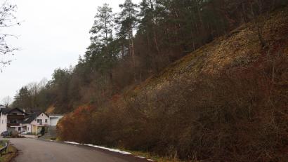 Bild: mrr
Im Bereich oberhalb der Amberger Straße 2 und des Parkplatzes in Vilshofen soll im Hang ein 70 Meter langer Steinschlagschutzzaun errichtet werden.