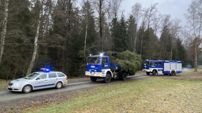 Bild: T. Schiller/exb
Tannenbaum für St. Elisabeth