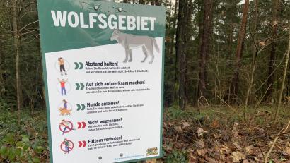 Bild: Stefanie Roth
"Wolfsgebiet" steht auf der Infotafel. Es folgen fünf Tipps, wie man sich verhalten soll, wenn man einem Wolf begegnet.
