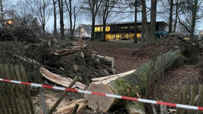 Bild: dob
Sturm Zoltan hat im Vohenstraußer Winklergarten ganze Arbeit geleistet und nicht nur eine mächtige Buche entwurzelt.
