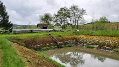 Bild: mnt
Die Thansteiner Kläranlage steht in Tännesried und umfasst ein Klärbecken und drei Schönungsteiche. Die unbelüftete Anlage muss saniert werden.