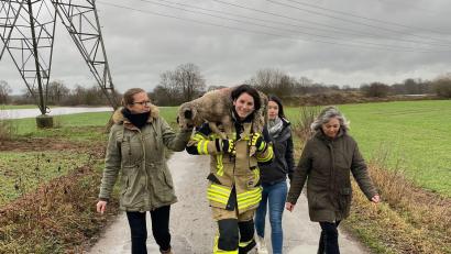 Bild: FF Bubach/exb
Versöhnlicher Schluss für ein kleines Schaf am Heiligen Abend: Es wurde aus dem Naab-Hochwasser bei Bubach gerettet und zur Herde zurück gebracht.: