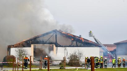 Bild: Petra Hartl
Beim Großbrand eines Schweinestalls in Hiltersdorf dürften sehr viele Schweine ums Leben gekommen sein, da die Tiere zunächst im Gebäude blieben.