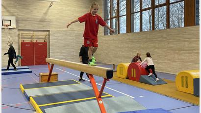 Bild: dob
Wer sich traute, balancierte schon alleine über den Schwebebalken in der Dreifachturnhalle Vohenstrauß.