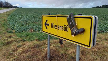 Bild: bl
Gummistiefel an Ortsschildern, wie hier an der Abzweigung von der Kreisstraße zwischen Neusath und Pamsendorf nach Wiesensüß, sind stille Zeichen des Protests von Landwirten gegen die Kürzungspläne der Bundesregierung.