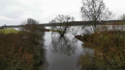 Bild: gz
Die Pfreimd kann das Regenwasser nicht mehr befördern und füllt die Wiesen mit Wasser, so dass auch am Ufer stehende Bäume mitten im Wasser stehen.
