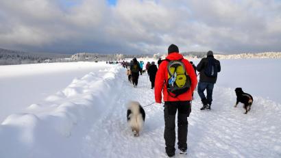 Bild: Simone Werner-Ney/exb
Wandern mit tierischer Unterstützung: Auch zwei Touren mit Hunden sind im umfangreichen Programm der Ochsenkopf-Winterwandertage zu finden.