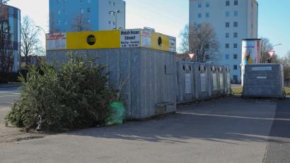 Bild: Wolfgang Steinbacher
Die Merianstraße in Amberg am 9. Januar 2024: Lediglich sechs Bäume wurden hier bisher verbotenerweise entsorgt. Früher waren das wesentlich mehr.