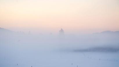 Bild: Sven Hoppe/dpa/Symbolbild
Nebelschwaden ziehen über eine schneebedeckte Wiese.