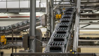 Symbolbild: David Inderlied/dpa
Vier Mitarbeiter einer bayerischen Brauerei sollen, so der Vorwurf der Staatsanwaltschaft, über Jahre Bier im Wert von 100.000 Euro gestohlen haben.